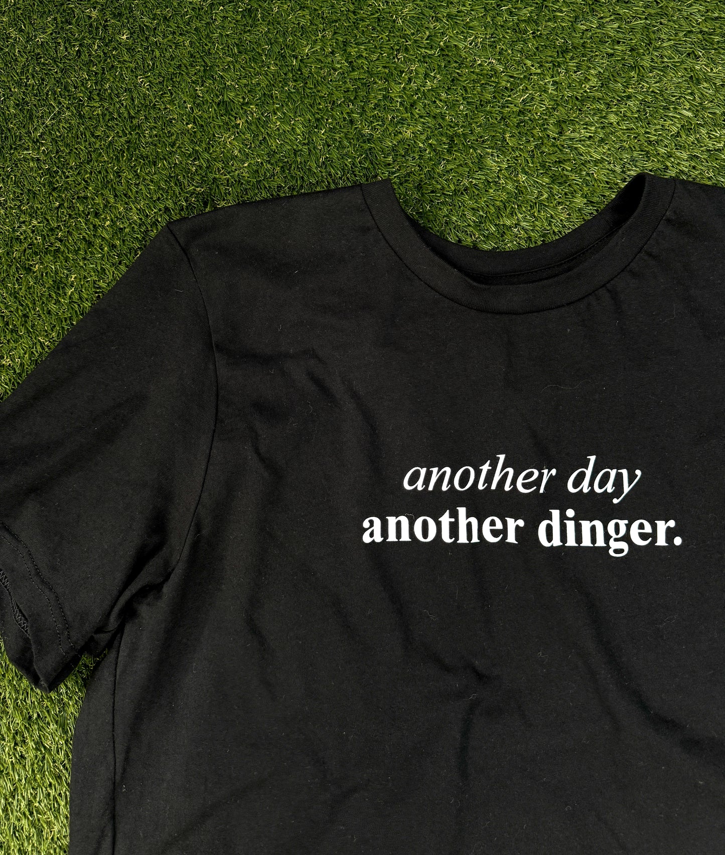 Another Day Another Dinger T-Shirt (Black)